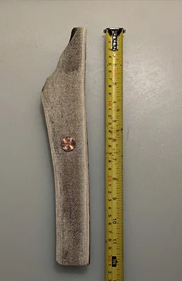 scale